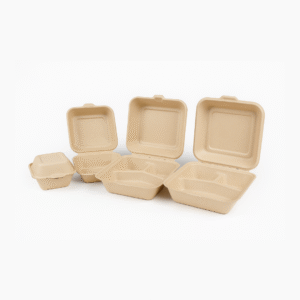 Bagasse Clamshell Food Containers | Biodegradable Clamshell Box | Eco-Friendly Takeaway Box | We are Authorized Supplier