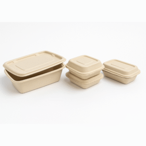 Rectangular Bagasse Club Food Container with Lid – Biodegradable & Eco-Friendly Takeaway Box (All Sizes) | We are Authorized Supplier